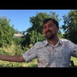 Александр Колтуков - Не имею человека (30.08.2020)