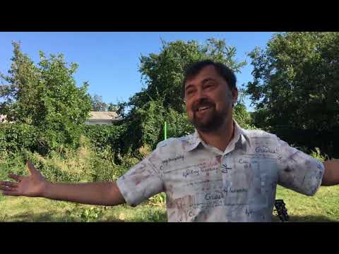 Александр Колтуков - Не имею человека (30.08.2020)